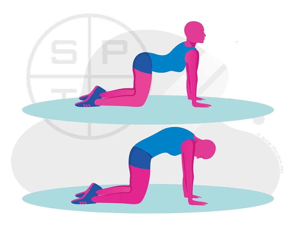 Lower and Upper Back