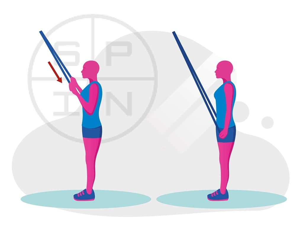 Triceps Extension