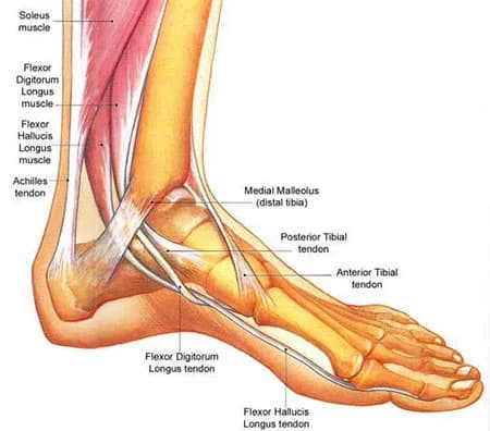 Foot pain treatment doctor specialist NYC — Dr. Febin Melepura