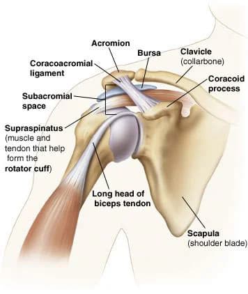 Shoulder arthritis treatment doctor specialist NYC — Dr. Febin Melepura