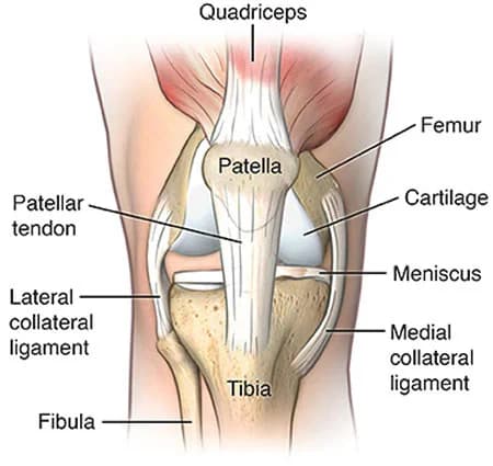 Knee tendonitis treatment doctor specialist NYC — Dr. Febin Melepura